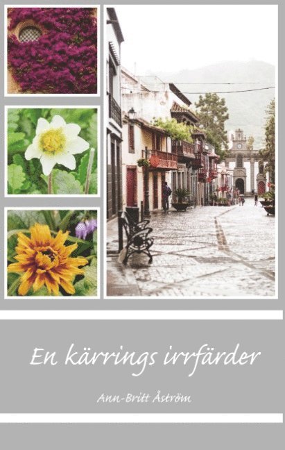 Ann-Britt Åström - En kärrings irrfärder, Inbunden