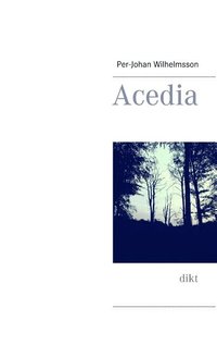 bokomslag Acedia: dikt