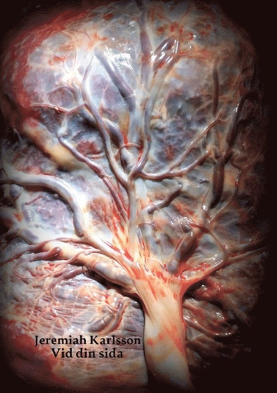 Jeremiah Karlsson, Jeremiah Björkman - Vid din sida, Häftad