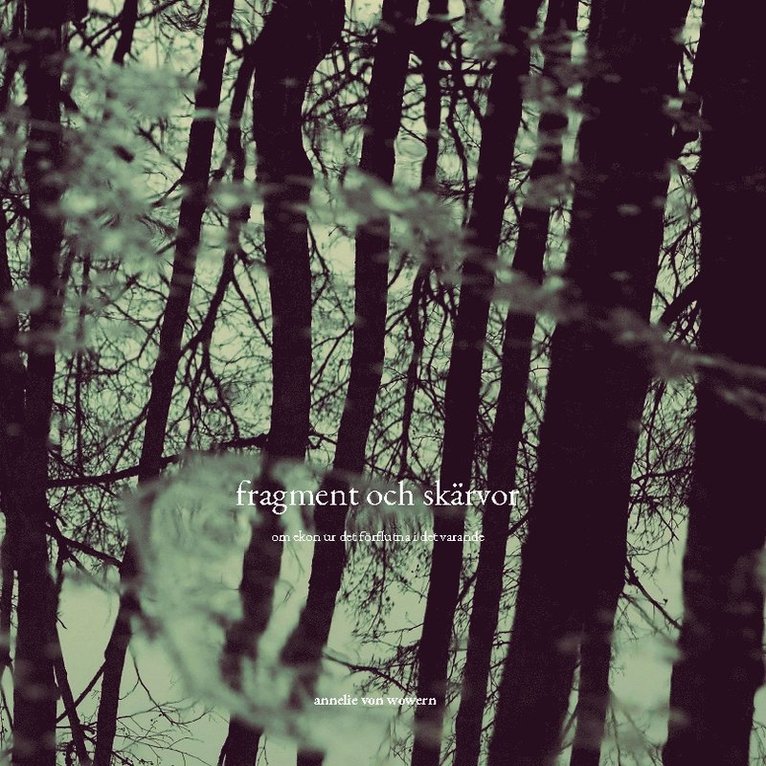 Annelie von Wowern - Fragment och skärvor : om ekon ur det förflutna i det varande, Inbunden