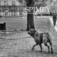 bokomslag SPIMBY : street photography in my back yard