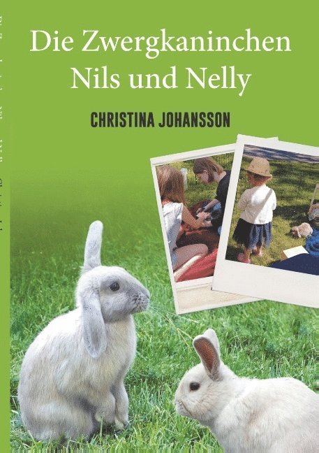 Die Zwergkaninchen Nils und Nelly 1