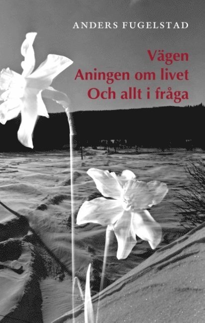 Anders Fugelstad - Vägen aningen om livet och allt i fråga, Inbunden