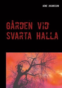 bokomslag Gården vid Svarta Halla