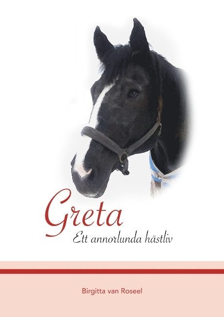 Greta : Ett annorlunda hästliv 1