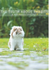 bokomslag The truth about rabbits : a misunderstood pet