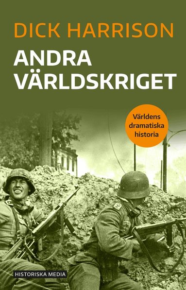 Dick Harrison - Andra världskriget, Häftad
