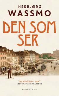 bokomslag Den som ser