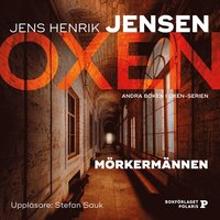 bokomslag Mörkermännen