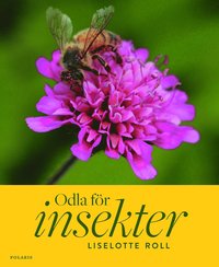 bokomslag Odla för insekter