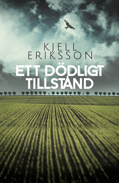 Kjell Eriksson - Ett dödligt tillstånd, Inbunden
