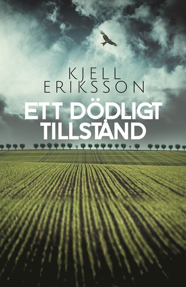 bokomslag Ett dödligt tillstånd