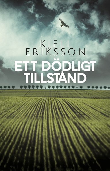 Kjell Eriksson - Ett dödligt tillstånd, Pocket