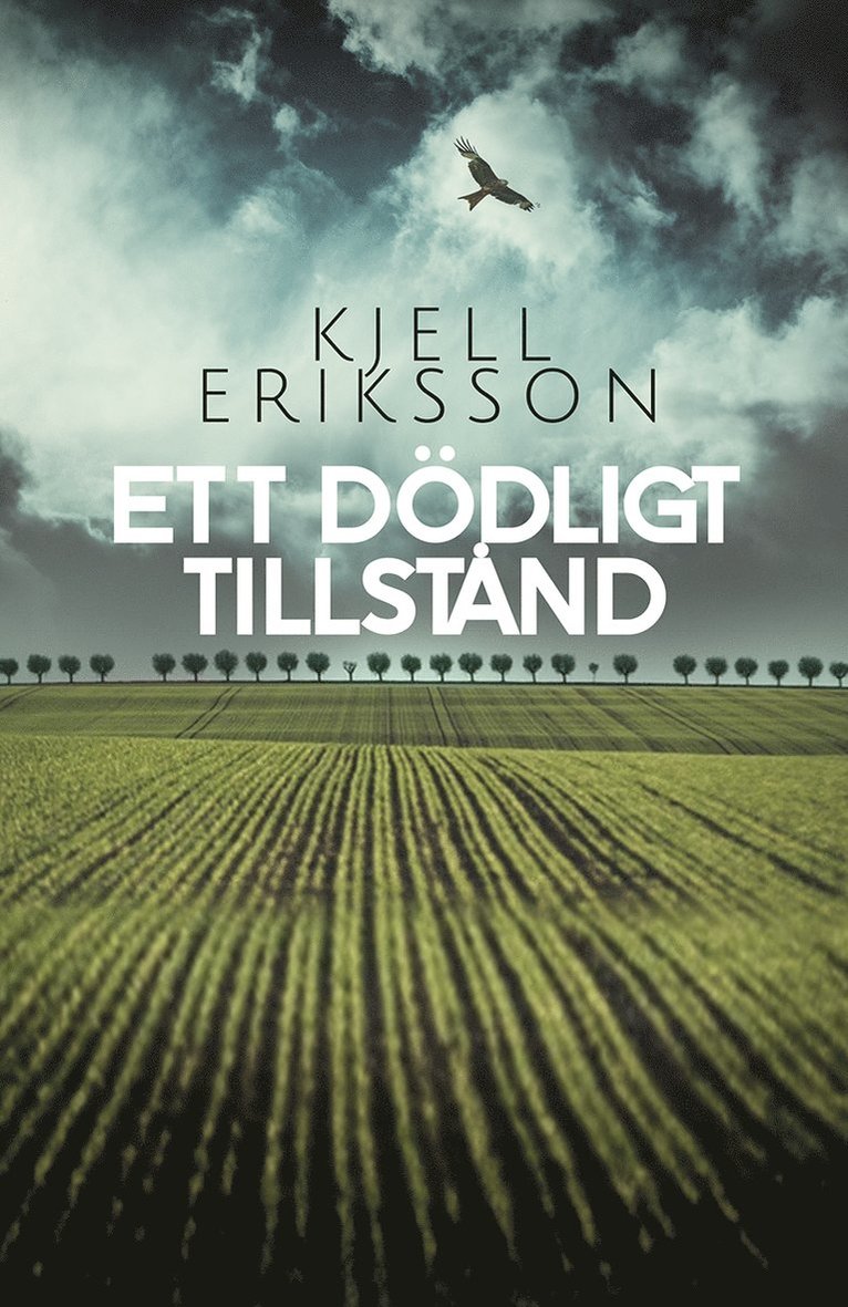 Ett dödligt tillstånd 1