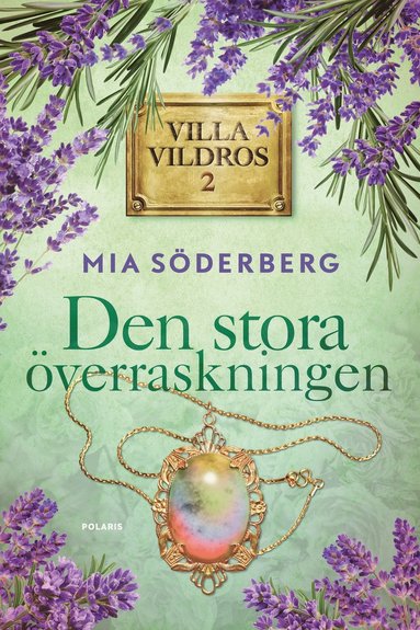 bokomslag Den stora överraskningen