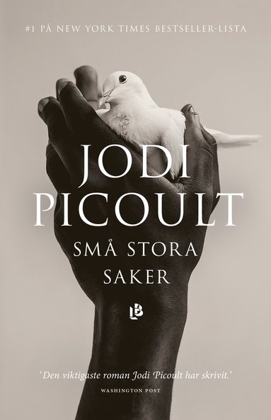 bokomslag Små stora saker