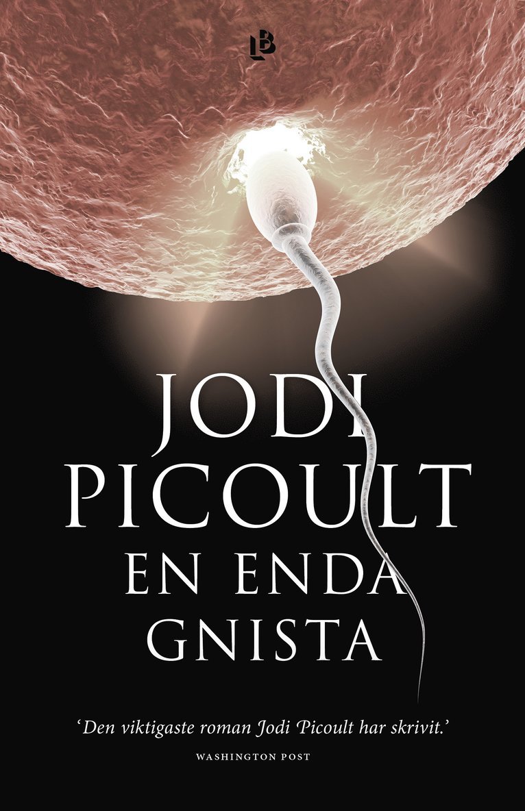 Jodi Picoult - En enda gnista, Inbunden