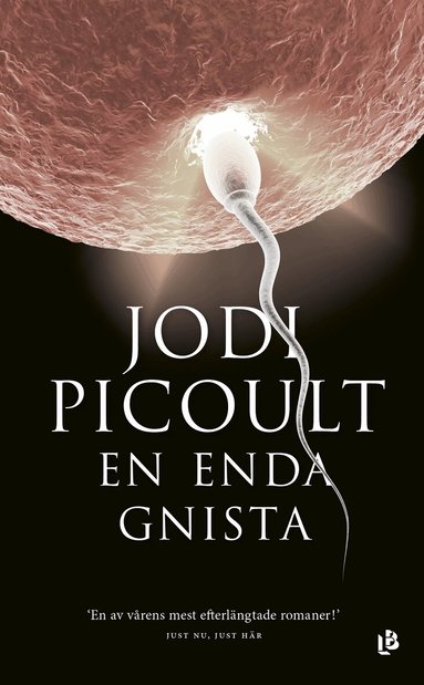 Jodi Picoult - En enda gnista, Pocket
