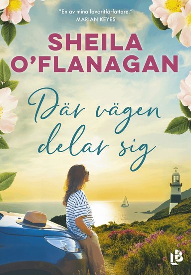 Sheila O'Flanagan - Där vägen delar sig, Häftad