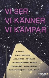 bokomslag Vi ser, vi känner, vi kämpar