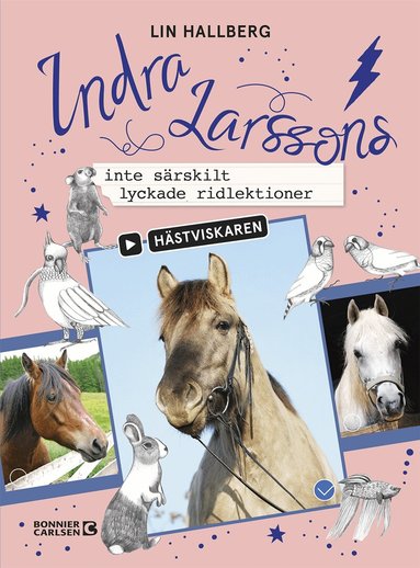 Lin Hallberg - Indra Larssons inte särskilt lyckade ridlektioner, Kartonnage
