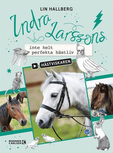 Lin Hallberg - Indra Larssons inte helt perfekta hästliv, Kartonnage