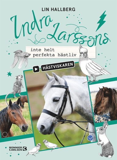 bokomslag Indra Larssons inte helt perfekta hästliv