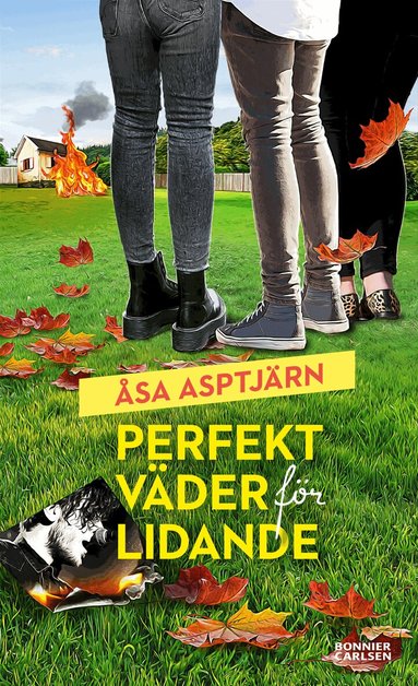 Åsa Asptjärn - Perfekt väder för lidande, Häftad