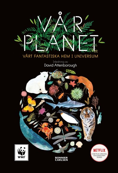 bokomslag Vår planet : vårt fantastiska hem i universum
