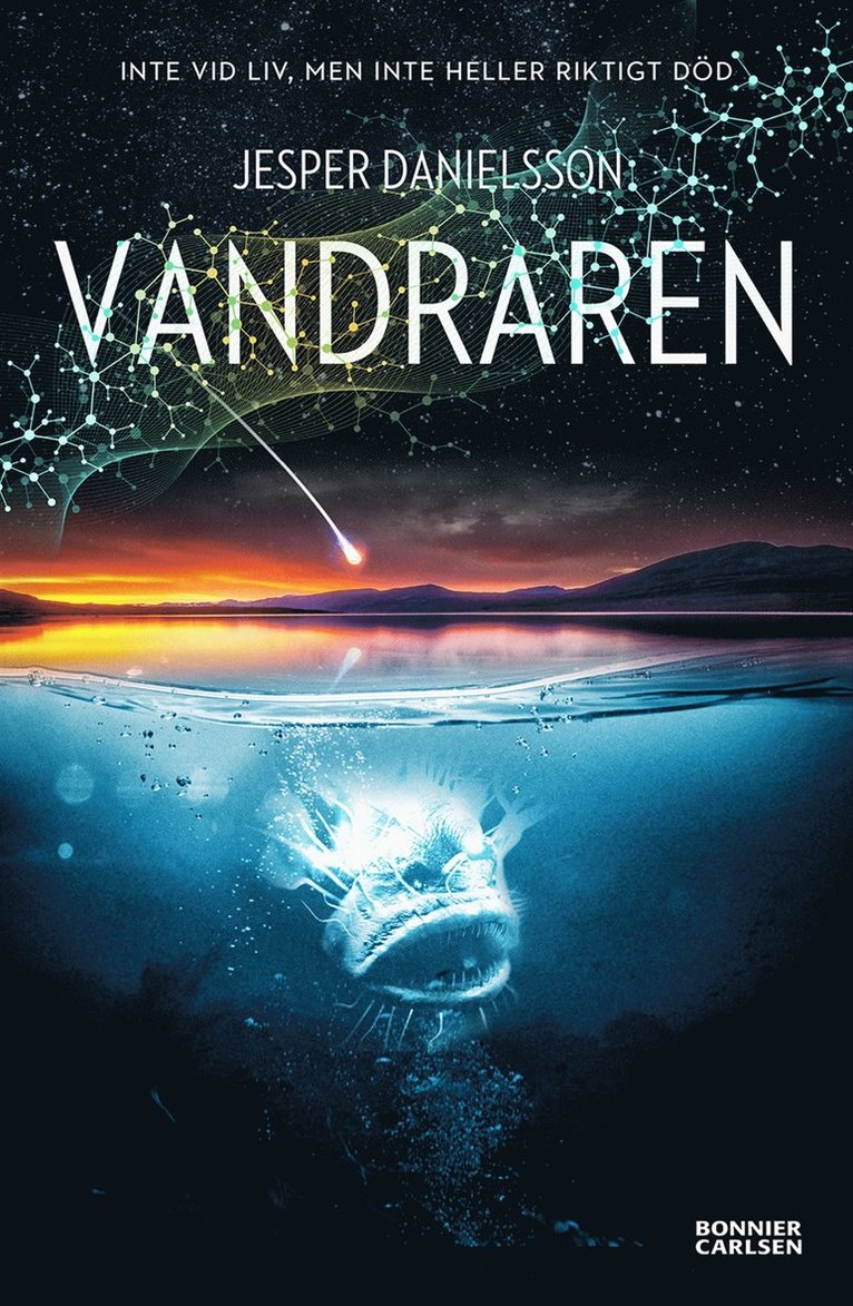 Jesper Danielsson - Vandraren, Häftad