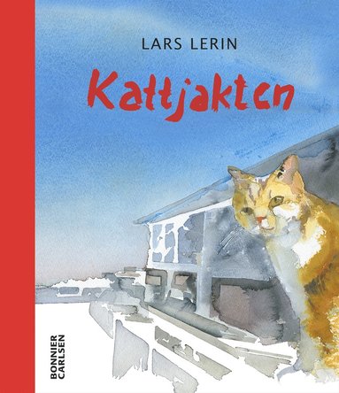 bokomslag Kattjakten