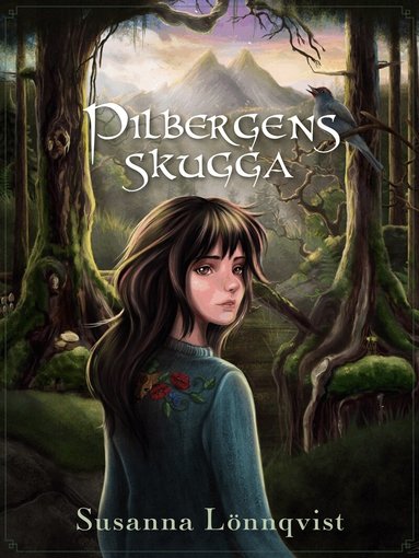 Susanna Lönnqvist - Pilbergens skugga, Kartonnage