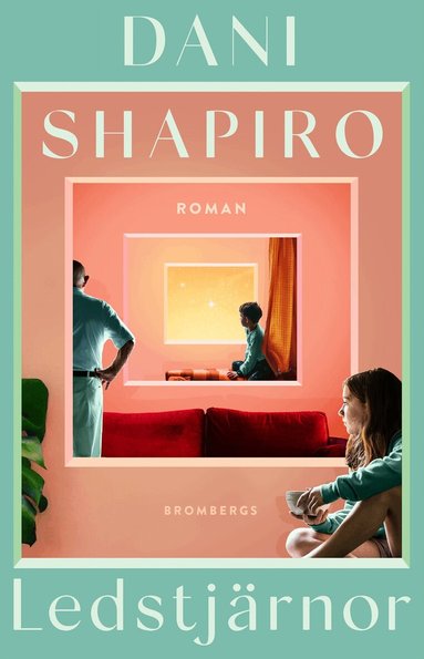 Dani Shapiro - Ledstjärnor, Inbunden