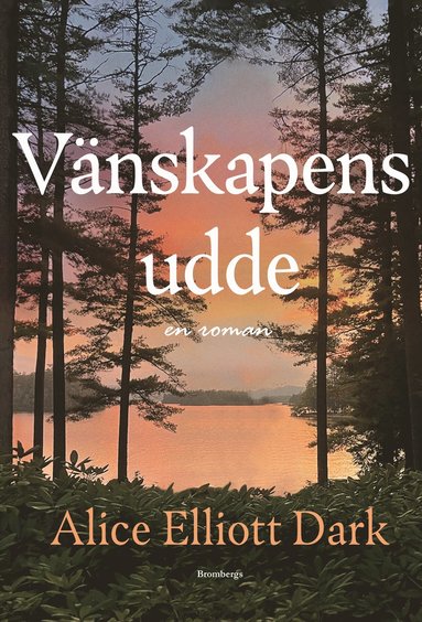 bokomslag Vänskapens udde