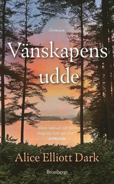 bokomslag Vänskapens udde