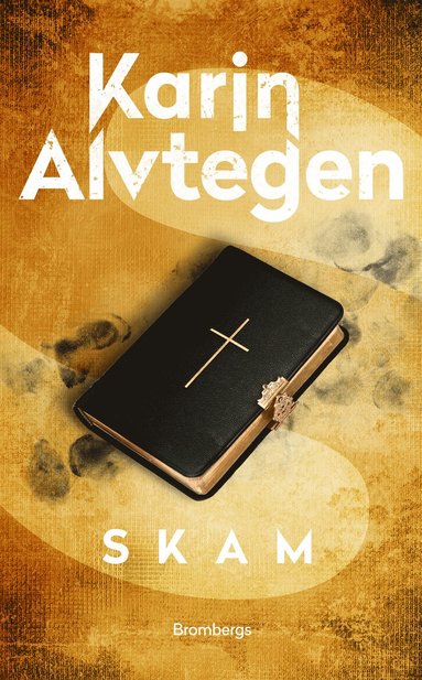 bokomslag Skam