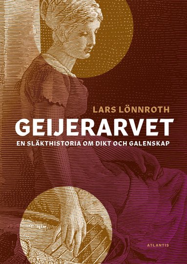 bokomslag Geijerarvet : en släkthistoria om dikt och galenskap