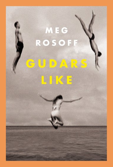 Meg Rosoff - Gudars like, Häftad