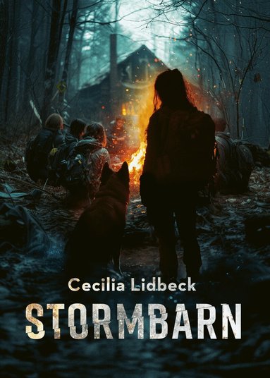 Cecilia Lidbeck - Stormbarn, Kartonnage