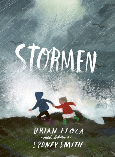 Brian Floca, Sydney Smith - Stormen, Inbunden