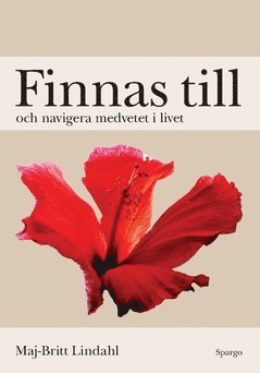 bokomslag Finnas till och navigera medvetet i livet