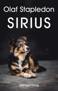 bokomslag Sirius : en fantasi om kärlek och konflikt