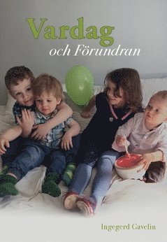 bokomslag Vardag och Förundran