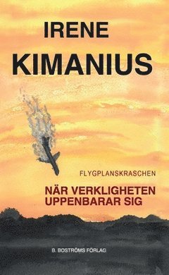 Flygplanskraschen : när verkligheten uppenbarar sig 1