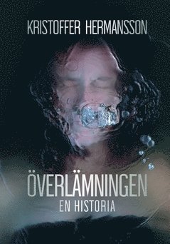 bokomslag Överlämningen : en historia