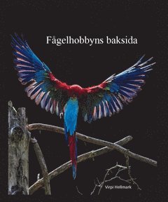 Virpi Hellmark - Fågelhobbyns baksida : fågelhobbyn ur ett kritiskt perspektiv, Häftad