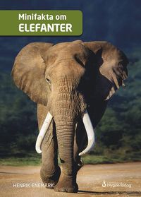 bokomslag Minifakta om elefanter