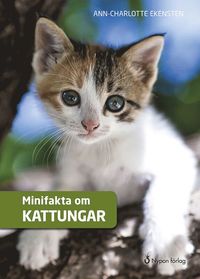 bokomslag Minifakta om kattungar