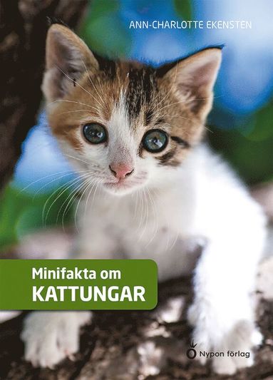 bokomslag Minifakta om kattungar