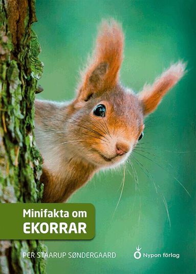 Per Straarup Søndergaard - Minifakta om ekorrar, Inbunden